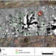 The magnetic anomaly, or magnetic gradient, appears as a large star-shaped structure. The green circles show the previous locations of other standing stones, and the red circle shows the lone standing stone.